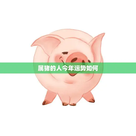 属猪的人今年运势如何(2023年猪年运程解析)
