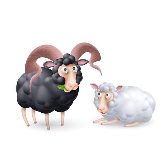 91年属羊宜配什么属相(最佳配对指南)