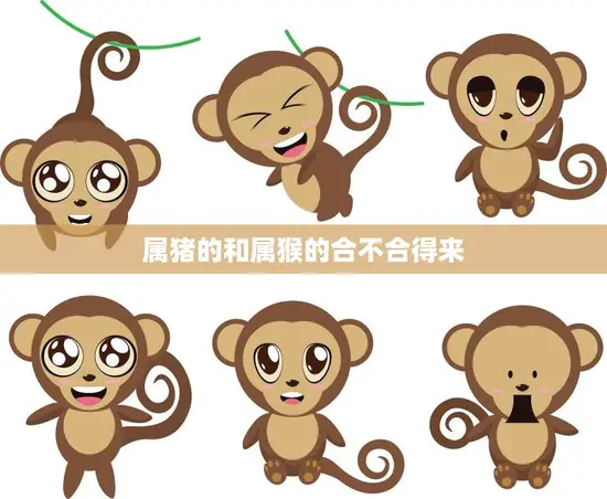 属猪的和属猴的合不合得来(探究星座是否决定爱情)