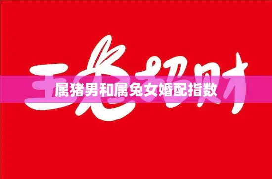 属猪男和属兔女婚配指数(如何评估)