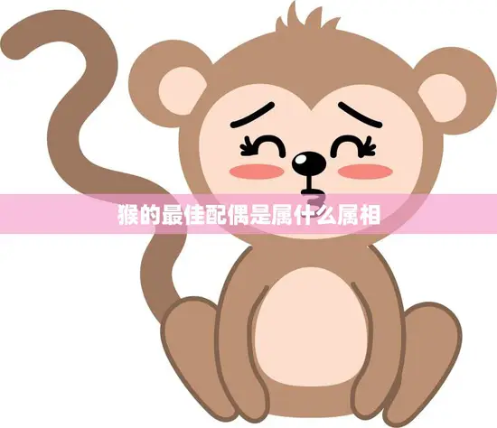 猴的最佳配偶是属什么属相(揭秘猴年最佳婚配)