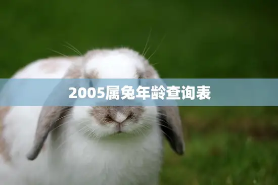 2005属兔年龄查询表(快速查看你的属兔年龄)