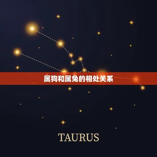 属狗为什么压不住属兔(介绍星座影响人际关系)