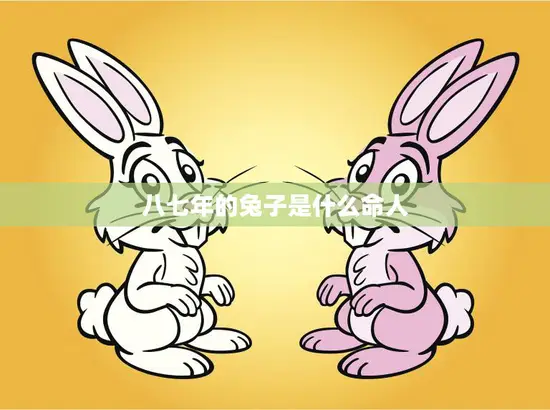 八七年的兔子是什么命人(解析兔子命运特点)