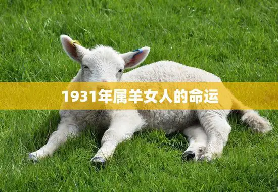 1931年属羊女人的命运(如何在动荡年代中寻找自己的归宿)