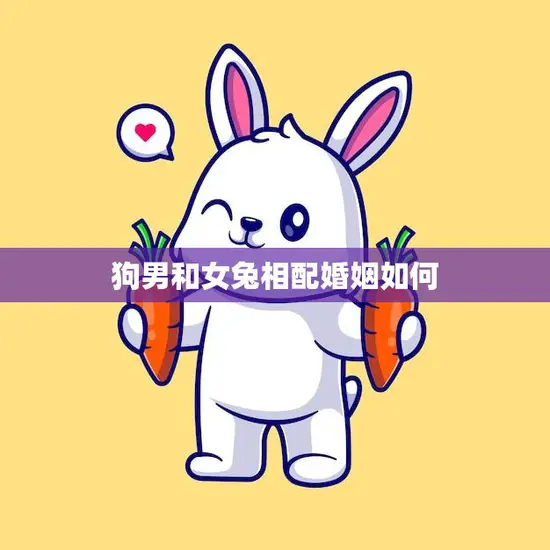 狗男和女兔相配婚姻如何(幸福的秘诀)