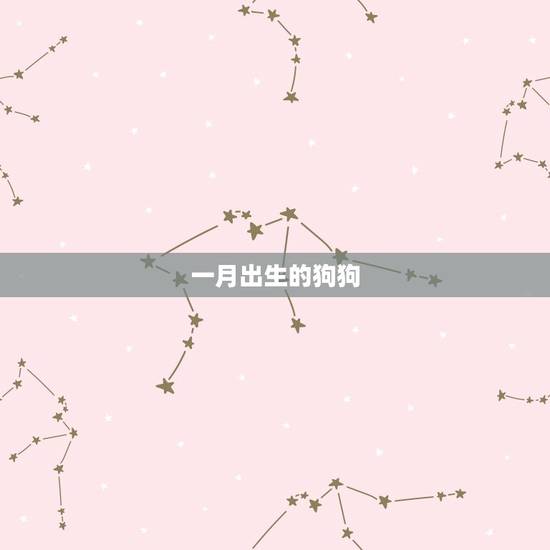 几月出生的狗是富贵命(狗年大吉看看你的狗狗是不是这个月份出生的)