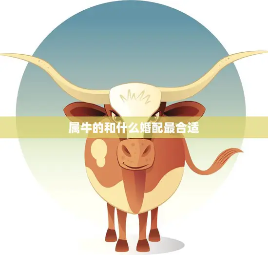 属牛的和什么婚配最合适(如何选择最佳配偶)