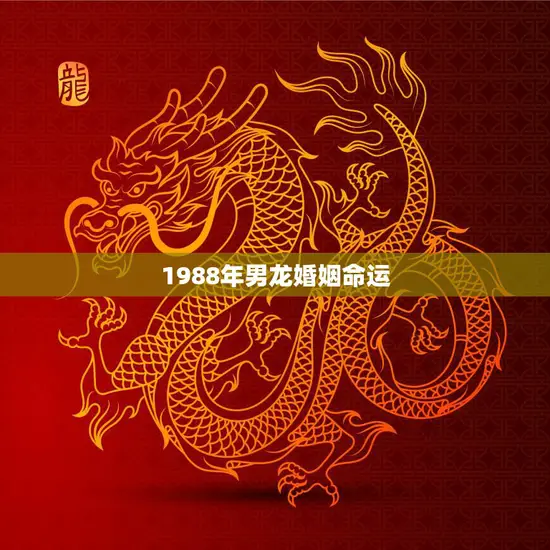1988年男龙婚姻命运(如何预测和改变)