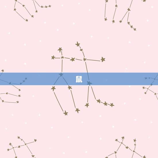 十二生肖拼音版带拼音(学习十二生肖拼音)