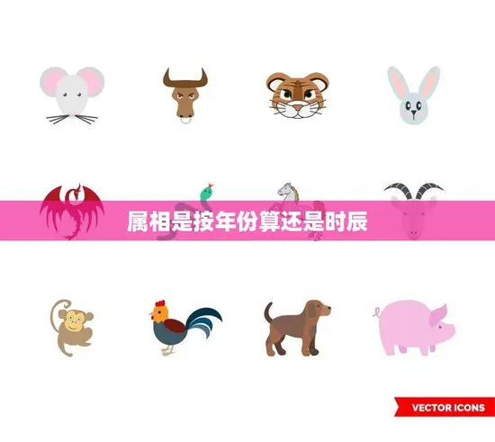 属相是按年份算还是时辰(如何确定你的生肖)