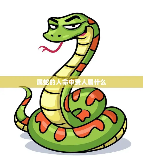 属蛇的人命中贵人属什么(揭秘蛇年生肖的贵人星座)