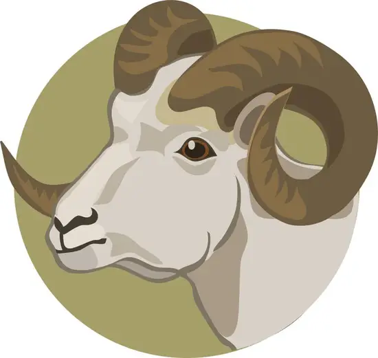 91年属羊最佳配偶(如何选择)