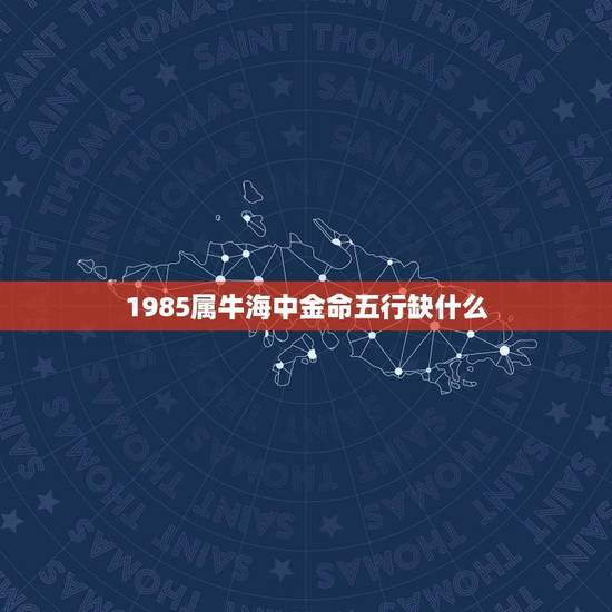 1985属牛海中金命五行缺什么(五行缺失分析及调整方法)