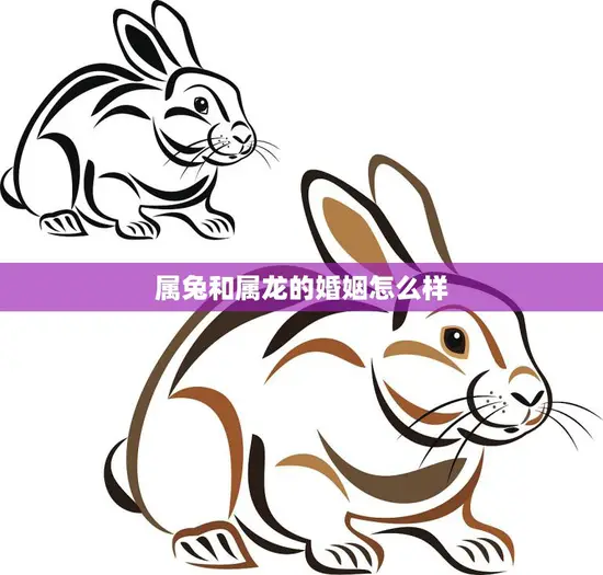 属兔和属龙的婚姻怎么样(幸福还是磨合不易)