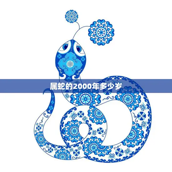 属蛇的2000年多少岁(如今已经多少岁了)