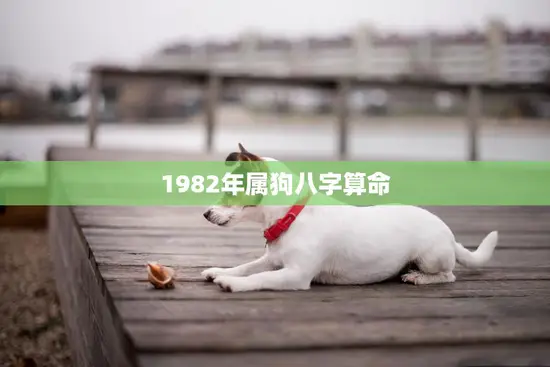 1982年属狗八字算命(如何预测未来命运)