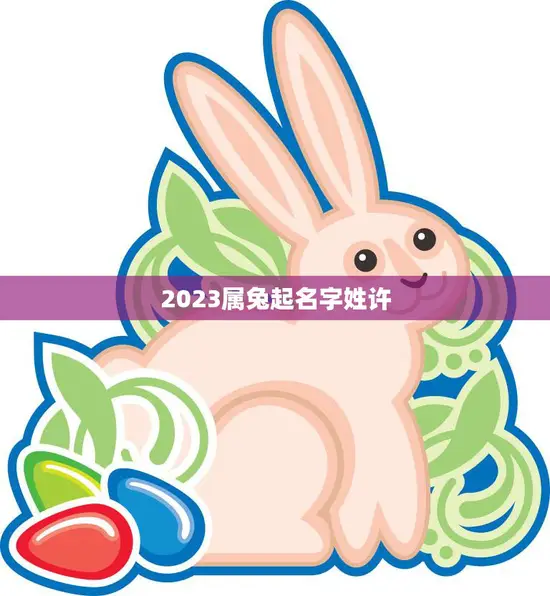 2023属兔起名字姓许(如何为宝宝取一个好名字)