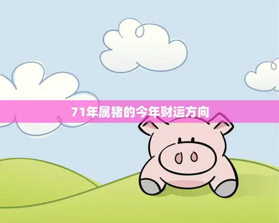 71年属猪的今年财运方向(如何把握2023年的财富机遇)
