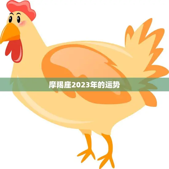 摩羯座2023年的运势(事业稳步上升财运亦旺盛)