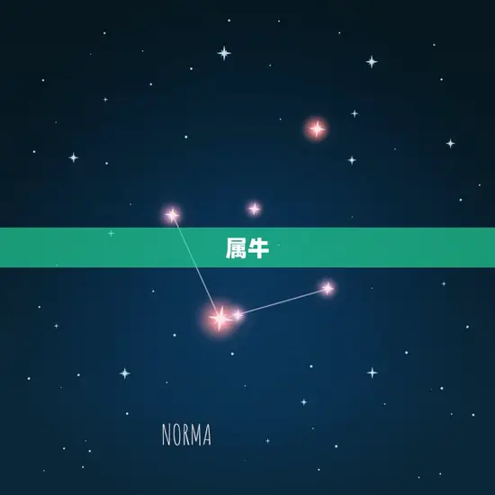 女属龙的配偶属相(如何选择)