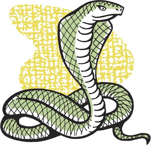 属蛇的今年多大2023(如何计算属蛇人的年龄)