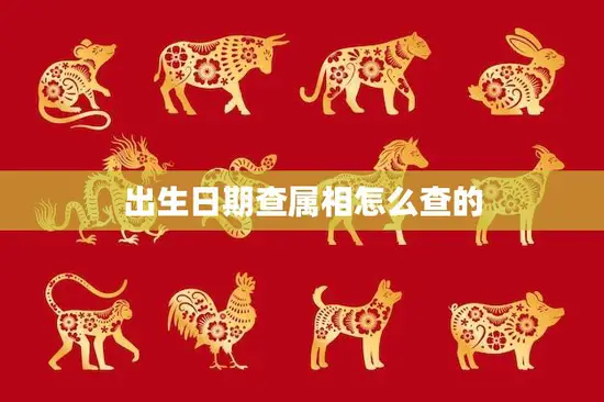 出生日期查属相怎么查的(快速查询方法分享)
