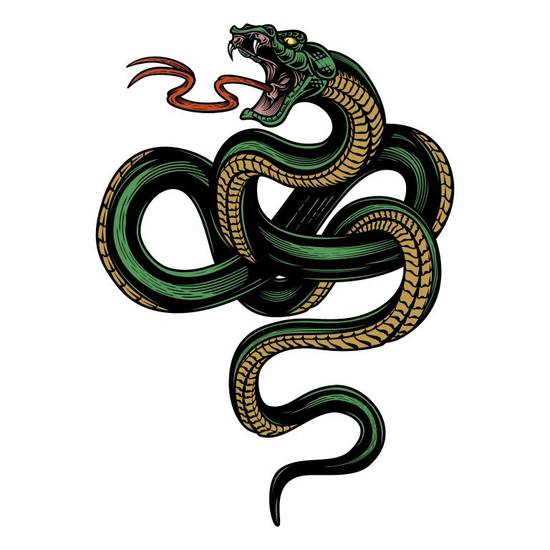 一辈子爱属蛇女的生肖男(如何追求属蛇女)