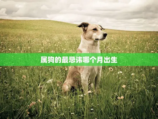 属狗的最忌讳哪个月出生(狗年犯太岁这个月份要特别小心)