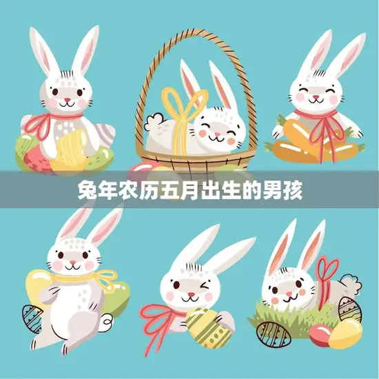 兔年农历五月出生的男孩(命运如何)