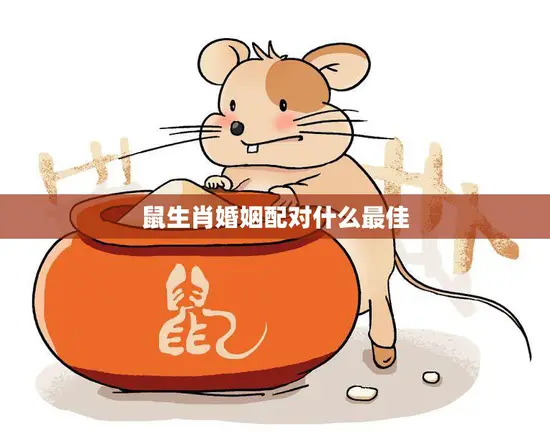 鼠生肖婚姻配对什么最佳(如何选择最适合的伴侣)