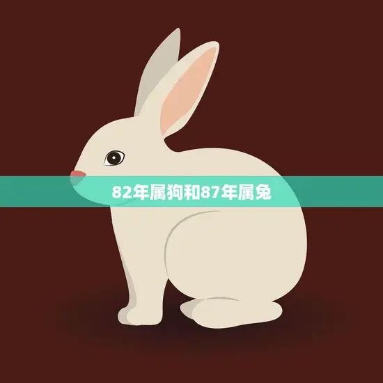 82年属狗和87年属兔(狗兔相遇缘定一生)