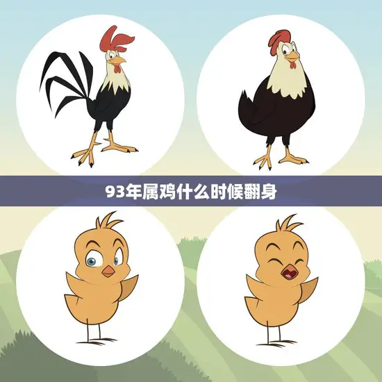 93年属鸡什么时候翻身(解析属鸡人的财运转机)