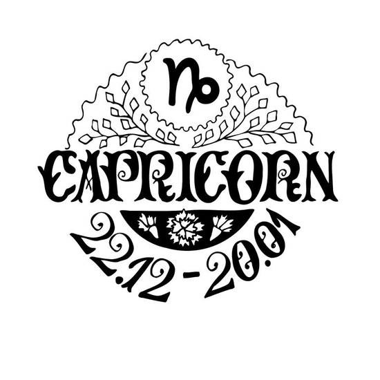 狮子座怎么追摩羯座女孩(攻略如何让内敛的摩羯心动)