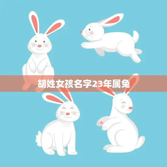 胡姓女孩名字23年属兔(如何选择适合的名字)