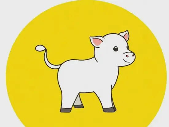 12生肖命格弱点盘点：补足运势必看指南