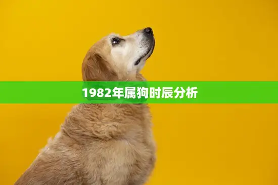 1982年属狗时辰分析(运势如何)