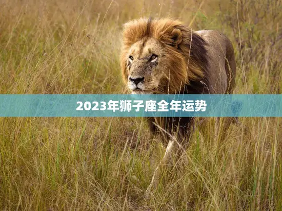 2023年狮子座全年运势(狮子座迎来事业升级财运亨通)