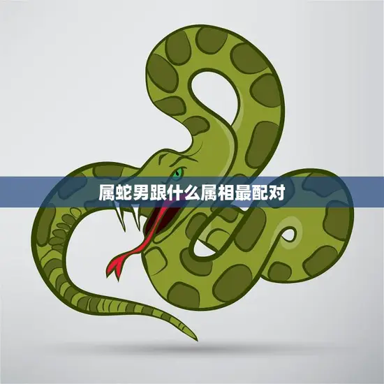 属蛇男跟什么属相最配对(十二生肖配对大揭秘)