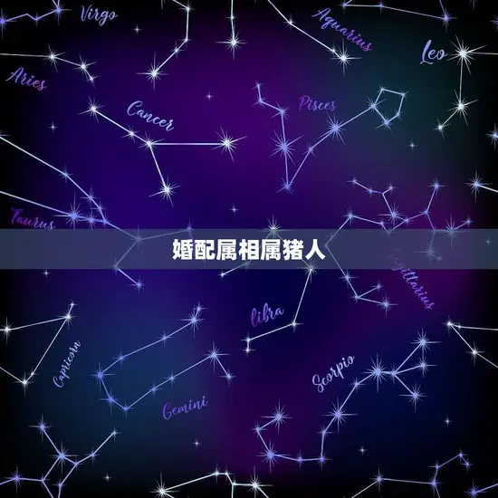 属兔人的婚配属相(找到你的伴侣)
