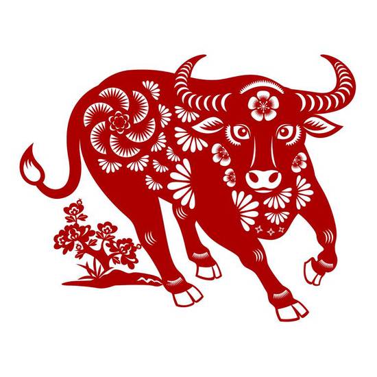 73年属牛女一生的劫难(命运多舛坚强面对生活的挑战)