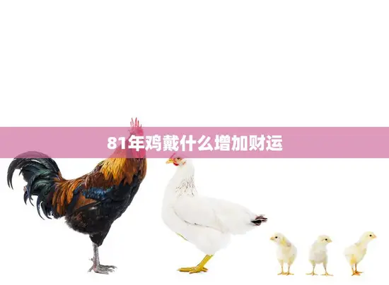 81年鸡戴什么增加财运(独家让你财源滚滚来)