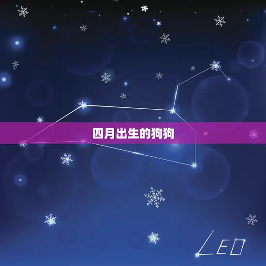 几月出生的狗是富贵命(狗年大吉看看你的狗狗是不是这个月份出生的)