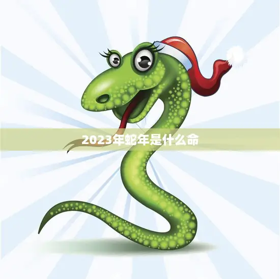 2023年蛇年是什么命(解读蛇年出生的人命运如何)