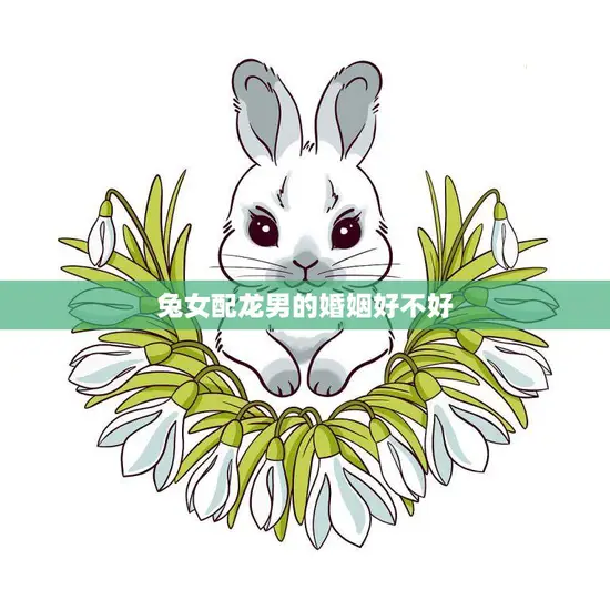 兔女配龙男的婚姻好不好(探讨星座配对是否决定命运)