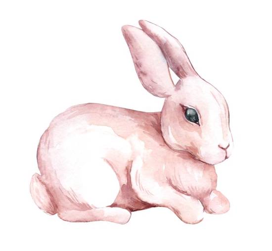 87年兔女运势2023(事业财运双丰收)