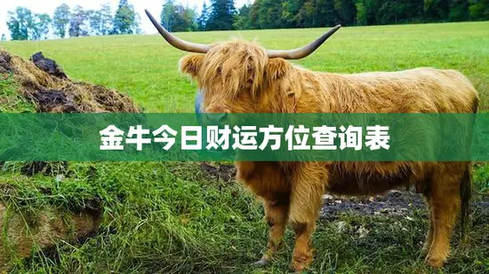 金牛今日财运方位查询表(揭秘你的财运方位)