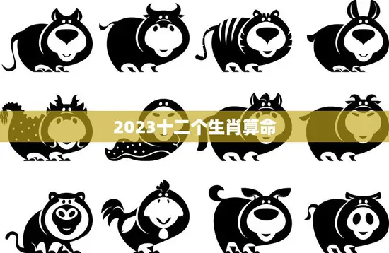 2023十二个生肖算命(探寻未来运势)