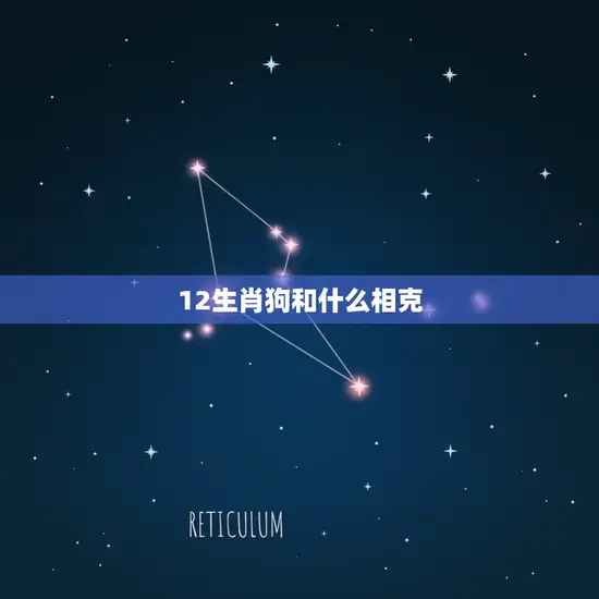 12生肖狗和什么相克(狗年人必看哪些生肖与狗不合)