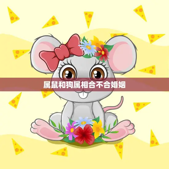 属鼠和狗属相合不合婚姻(如何看待这种组合)